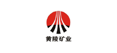 战略合作伙伴