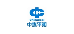 Strategic Partners