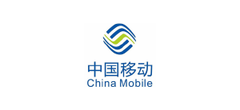 战略合作伙伴
